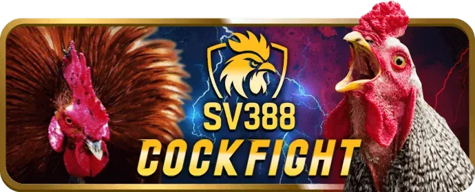 Đá gà và trò chơi khác Wibet